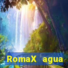 RomaX agua sanitaria fispq agua sanitaria romax